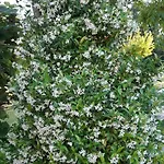 De France - Le Clos Papy Moutons