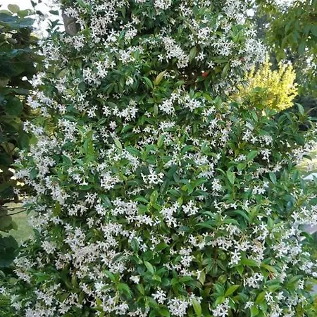 Gite Gites De France - Le Clos Papy Moutons