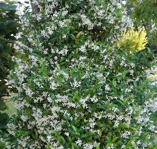 Gite Gites De France - Le Clos Papy Moutons